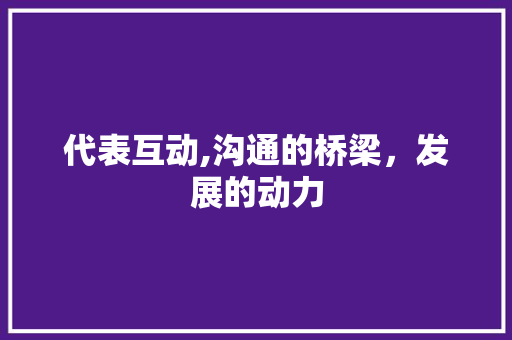 代表互动,沟通的桥梁，发展的动力 工作总结