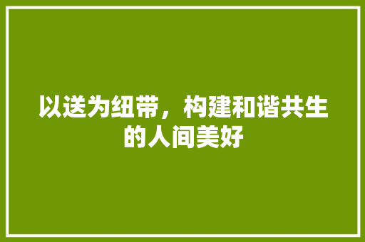 以送为纽带，构建和谐共生的人间美好