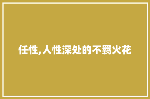 任性,人性深处的不羁火花 成语大全