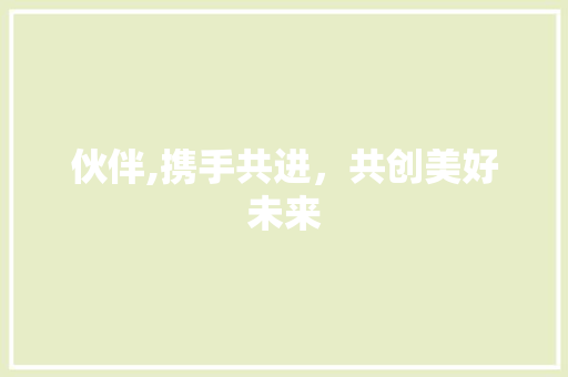 伙伴,携手共进，共创美好未来