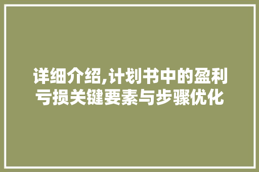 详细介绍,计划书中的盈利亏损关键要素与步骤优化