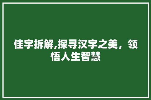 佳字拆解,探寻汉字之美，领悟人生智慧 个人简历