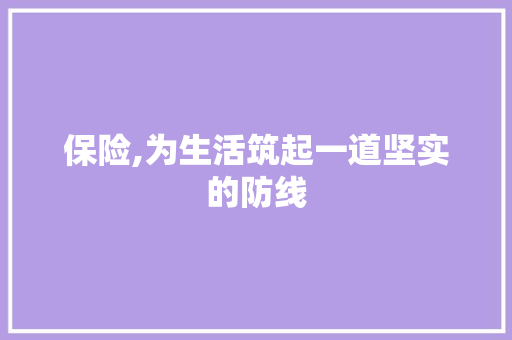 保险,为生活筑起一道坚实的防线 国学经典
