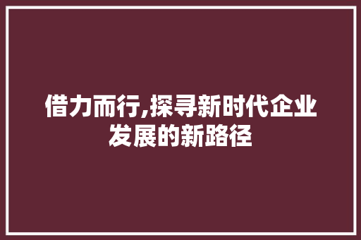 借力而行,探寻新时代企业发展的新路径