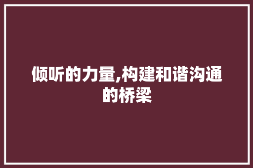 倾听的力量,构建和谐沟通的桥梁