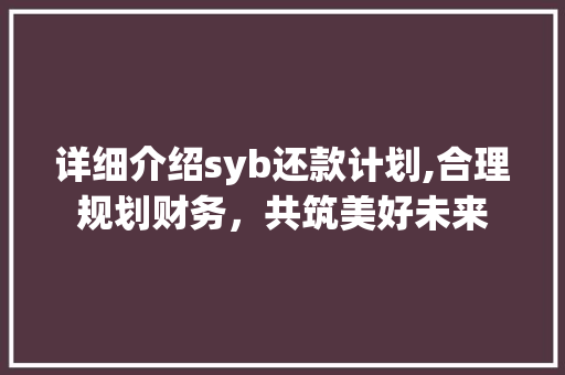 详细介绍syb还款计划,合理规划财务，共筑美好未来