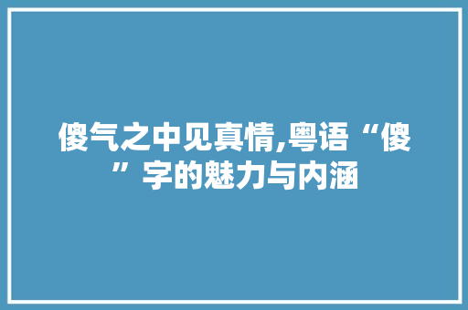 傻气之中见真情,粤语“傻”字的魅力与内涵 工作总结