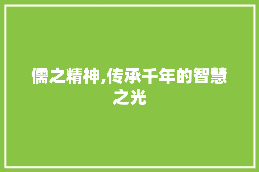 儒之精神,传承千年的智慧之光 诗词鉴赏