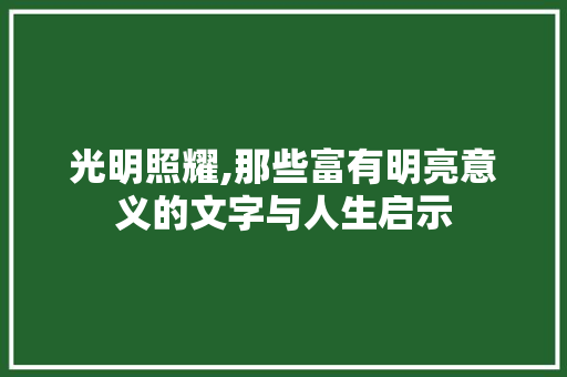 光明照耀,那些富有明亮意义的文字与人生启示 国学经典