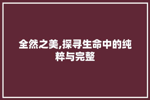 全然之美,探寻生命中的纯粹与完整