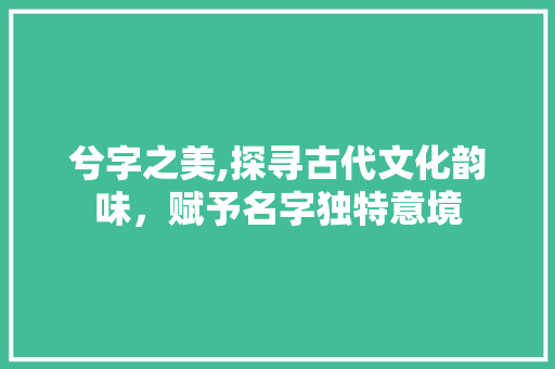 兮字之美,探寻古代文化韵味，赋予名字独特意境 演讲稿
