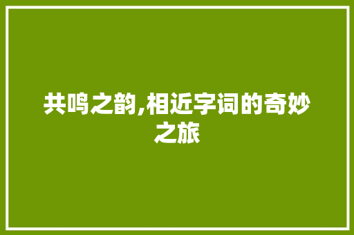 共鸣之韵,相近字词的奇妙之旅