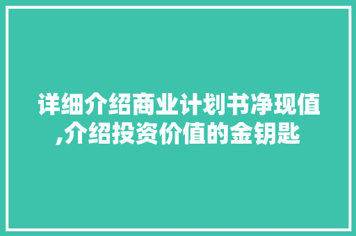 详细介绍商业计划书净现值,介绍投资价值的金钥匙