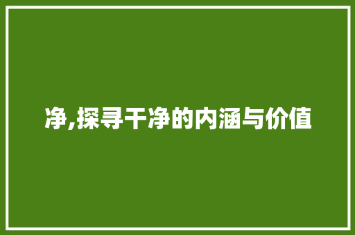 净,探寻干净的内涵与价值 国学经典