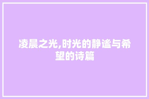 凌晨之光,时光的静谧与希望的诗篇 个人简历