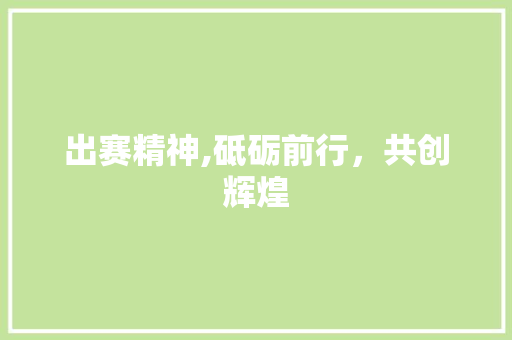 出赛精神,砥砺前行，共创辉煌 工作计划