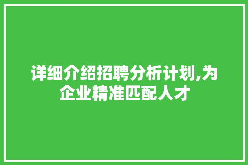详细介绍招聘分析计划,为企业精准匹配人才