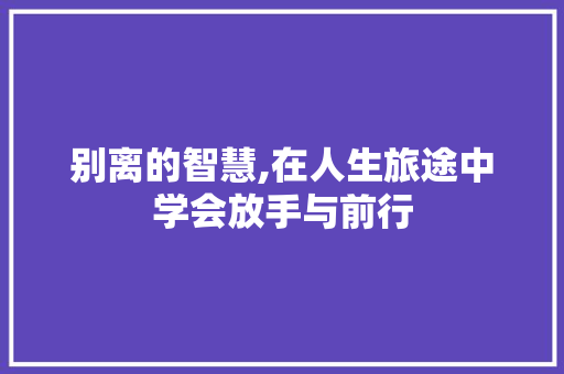 别离的智慧,在人生旅途中学会放手与前行