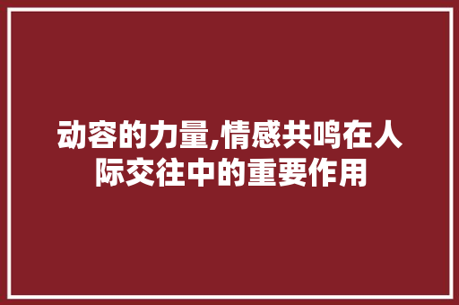 动容的力量,情感共鸣在人际交往中的重要作用