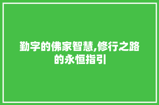 勤字的佛家智慧,修行之路的永恒指引