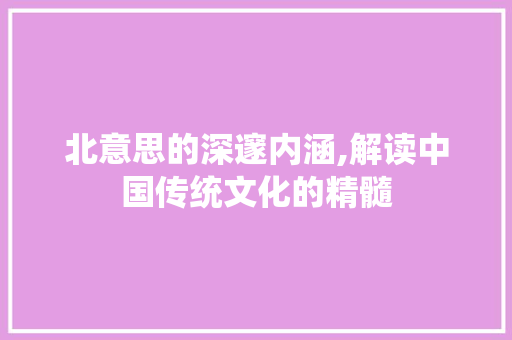 北意思的深邃内涵,解读中国传统文化的精髓 演讲稿