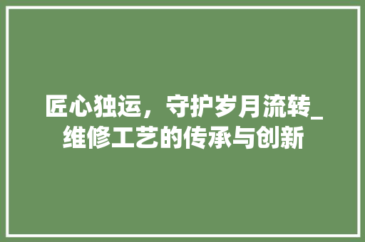 匠心独运，守护岁月流转_维修工艺的传承与创新