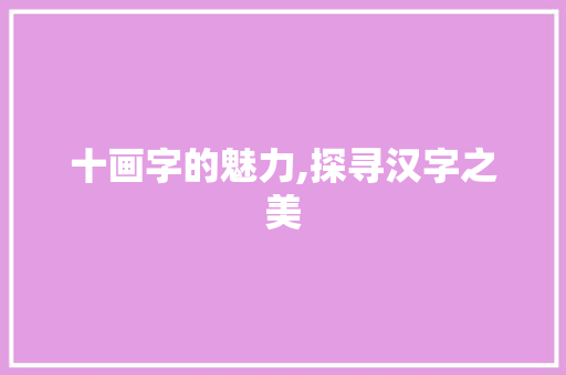 十画字的魅力,探寻汉字之美