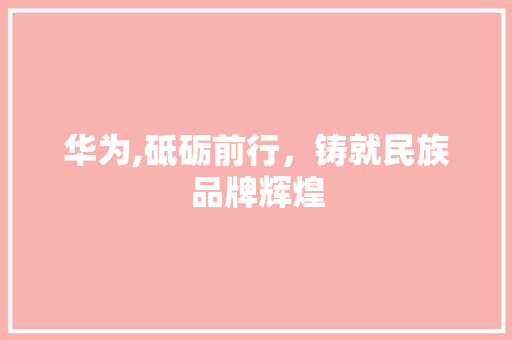 华为,砥砺前行，铸就民族品牌辉煌