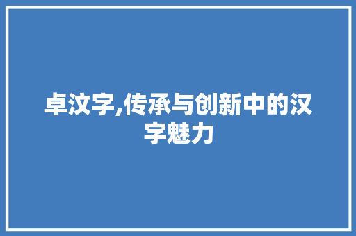 卓汶字,传承与创新中的汉字魅力