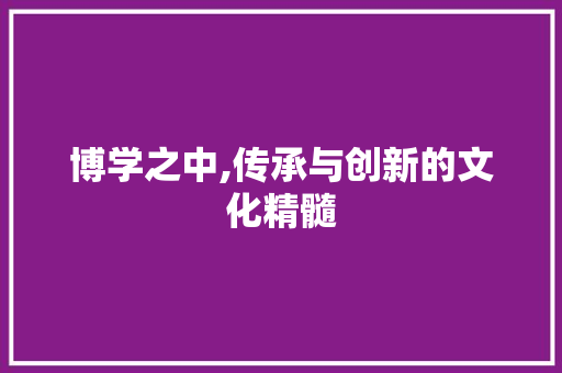 博学之中,传承与创新的文化精髓 工作总结