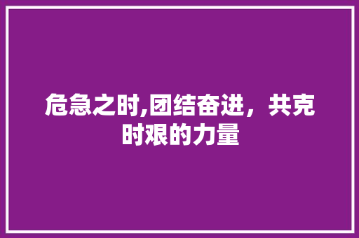 危急之时,团结奋进，共克时艰的力量 诗词鉴赏