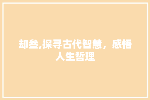 却叁,探寻古代智慧，感悟人生哲理
