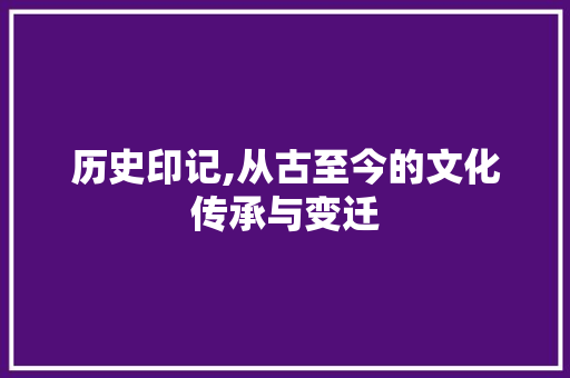 历史印记,从古至今的文化传承与变迁 工作总结