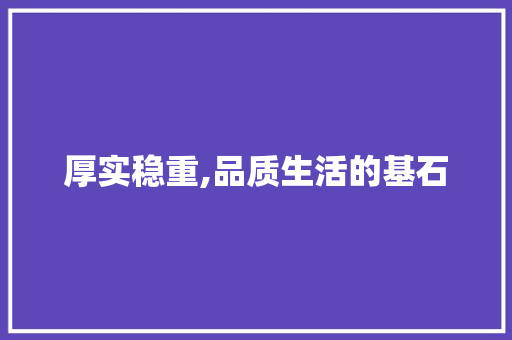 厚实稳重,品质生活的基石 工作计划