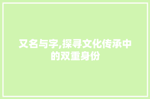 又名与字,探寻文化传承中的双重身份