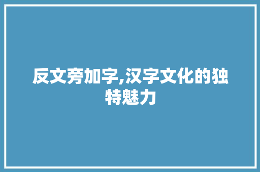 反文旁加字,汉字文化的独特魅力
