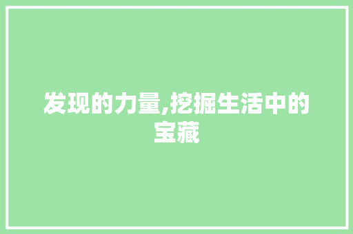 发现的力量,挖掘生活中的宝藏