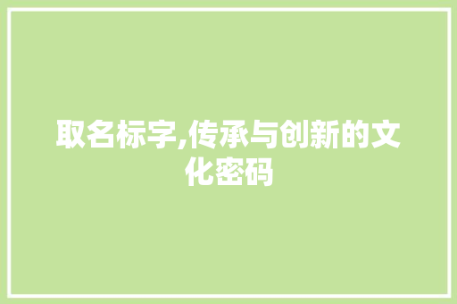 取名标字,传承与创新的文化密码 工作计划