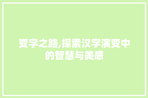 变字之路,探索汉字演变中的智慧与美感 成语大全