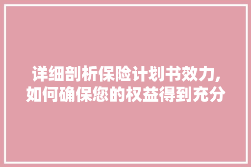 详细剖析保险计划书效力,如何确保您的权益得到充分保障