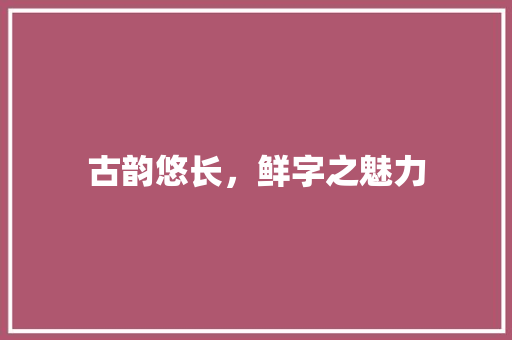 古韵悠长，鲜字之魅力 工作总结