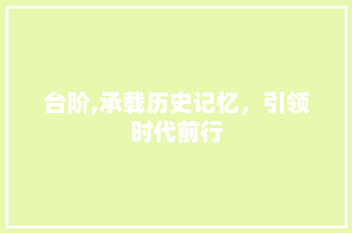台阶,承载历史记忆，引领时代前行 工作总结