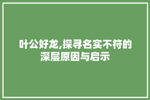 叶公好龙,探寻名实不符的深层原因与启示 工作总结