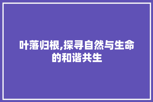 叶落归根,探寻自然与生命的和谐共生 名人名言