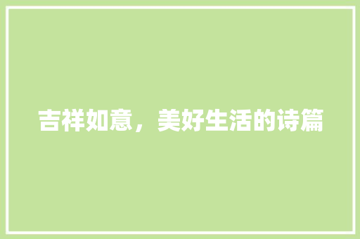 吉祥如意，美好生活的诗篇 工作总结