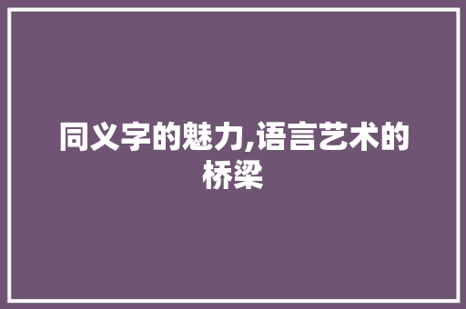 同义字的魅力,语言艺术的桥梁 工作总结