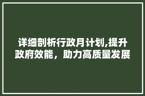 详细剖析行政月计划,提升政府效能，助力高质量发展