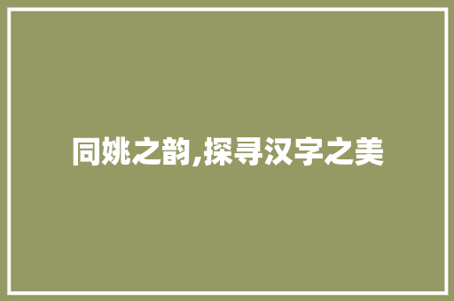 同姚之韵,探寻汉字之美