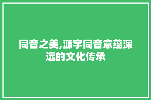 同音之美,源字同音意蕴深远的文化传承