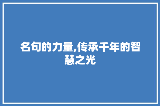 名句的力量,传承千年的智慧之光